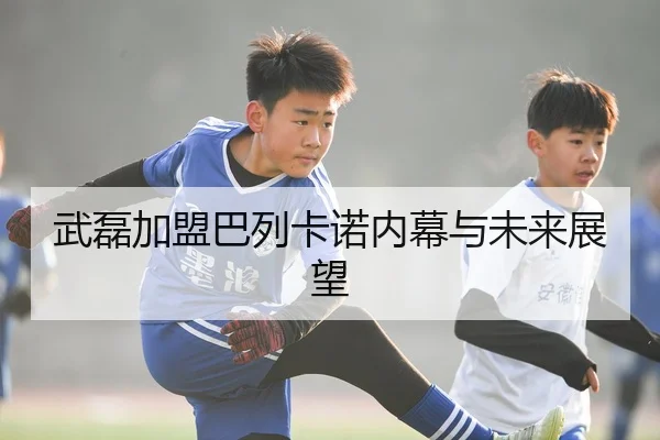 武磊加盟巴列卡诺内幕与未来展望